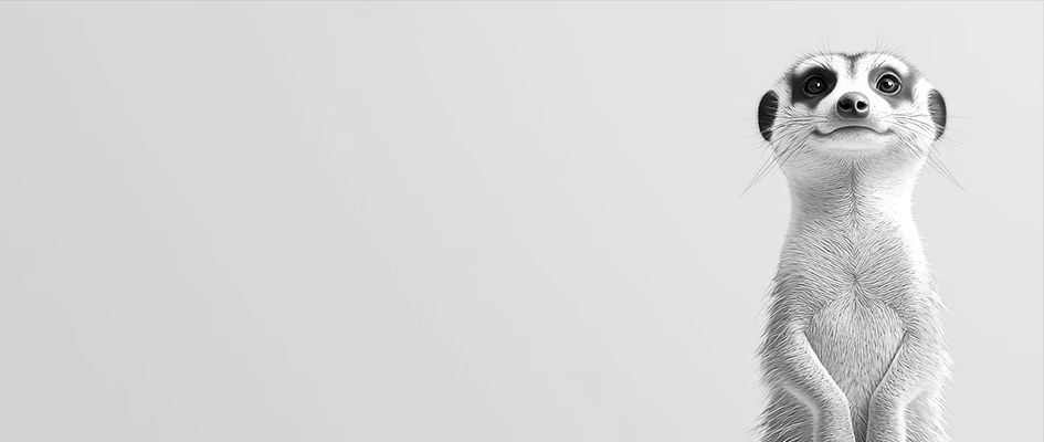 Suricate noir et blanc - Blog AE2 - Landing page efficace