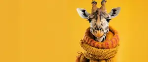 Girafe avec un echarppe - Animations CSS - Blog AE2