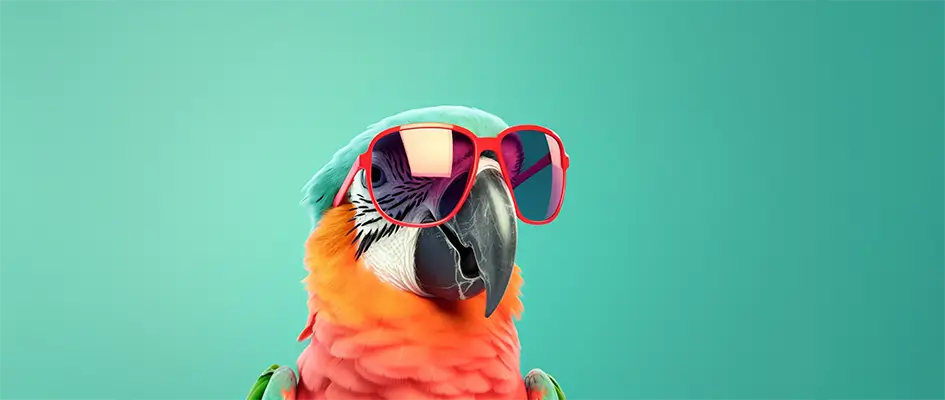 Peroquet à lunettes - Landing page efficace - Blog AE2