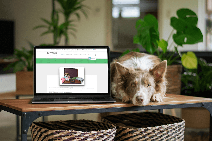 visuel ordi inovalys -site ecommerce prestashop- réalisation AE2