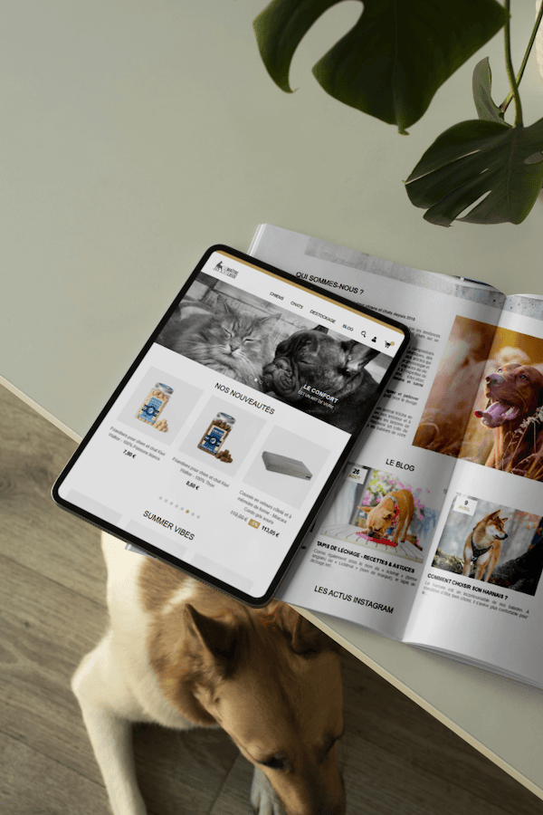 visuel tablette le maître des lieux -site ecommerce prestashop- réalisation AE2