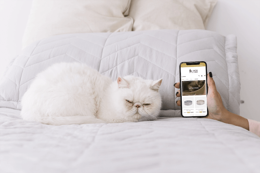 visuel mobile le maître des lieux -site ecommerce prestashop- réalisation AE2