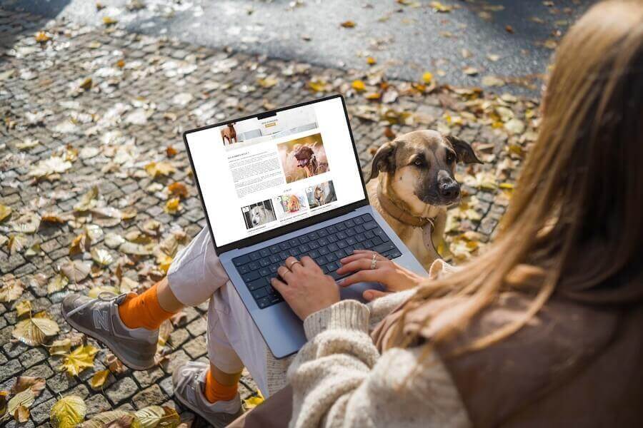 visuel ordi le maître des lieux -site ecommerce prestashop- réalisation AE2