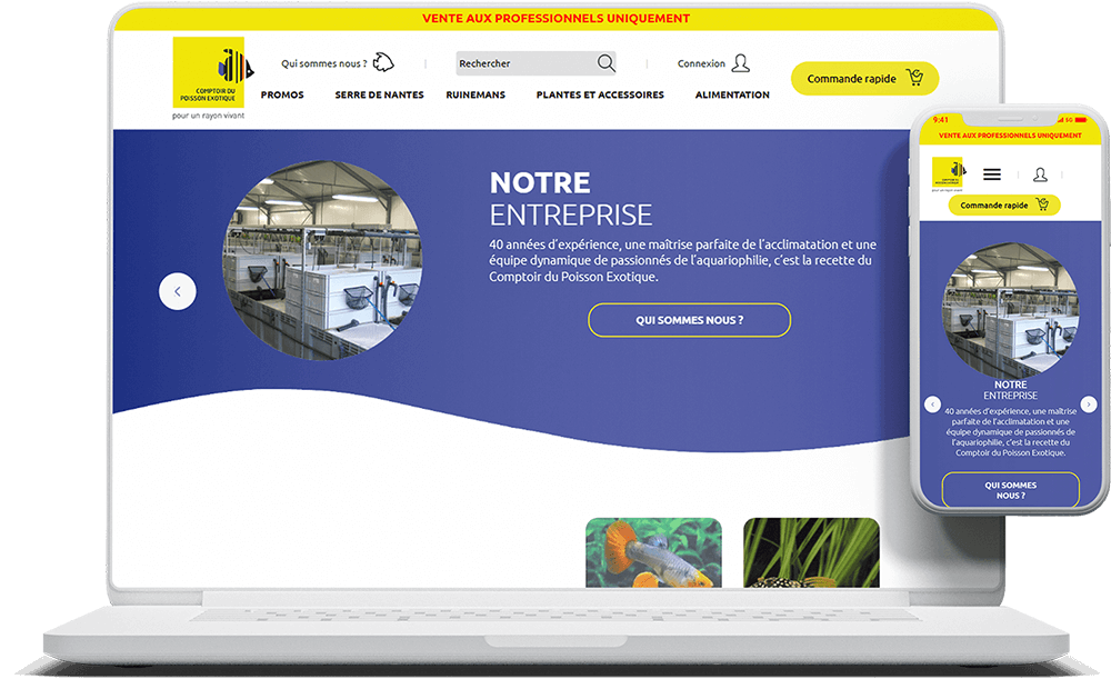 mock up phone desktop comptoir du poisson exotique refonte site e-commerce prestashop ae2 agence